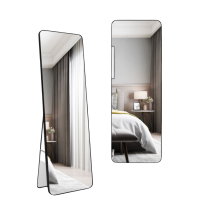 豫龙都镜子120*30个