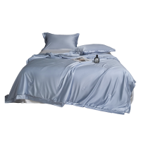 弗切尔珀榕 水光缎冰肌锦氨榨蚕丝夏被