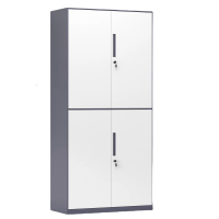 金派邦 通双节文件柜(套色) 900*400*1850mm (台)