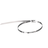 墨中正人不锈钢扎带zd100根