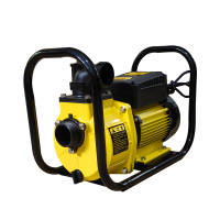 泉有 大流量自吸电泵