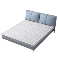 演发 床垫 1.2*2.0m/张