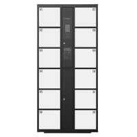 伟樽智能储物柜人脸识别12门850*460*1800mm台