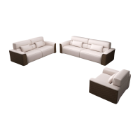 乐琪艺 接待沙发1+2+3 套