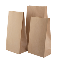 复岚 牛皮纸袋 150*100*305mm/个