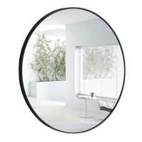 豫龙都穿衣镜80cm个