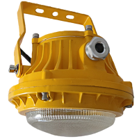 盛王盛荣 LED 防爆照明灯