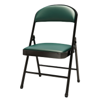 珂攸洋办公椅黑腿绿面450*460*790mm把