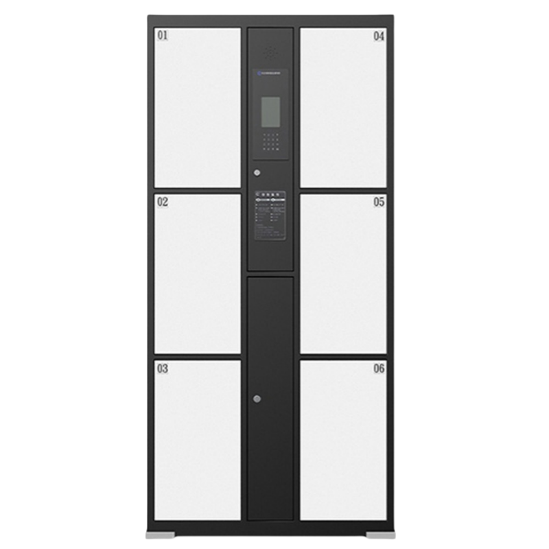 伟樽电子存包柜人脸识别6门850*460*1800mm台