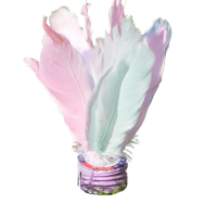 闪电客毽子儿童小学生幼儿园踢毽子鸡毛腱踺键子羽毛毽球比赛