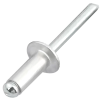 欣欣妍宸 开口型抽芯铆钉 5*16/个