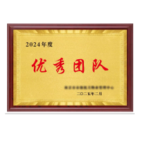 春铁吉印 奖牌 300mm*400mm 个