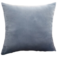 昕蓝梦 天鹅绒方形加厚抱枕靠垫含芯 50*50cm 个