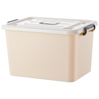 攸衣服整理箱53.5*38.5*32.5cm个