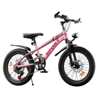 智童5188儿童自行车12寸14寸16寸脚踏车2 -9 岁山地车男女学生单车带辅助轮童车1