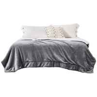 昕蓝梦 双层加厚羊羔绒毛毯午睡盖毯 200*230cm 条