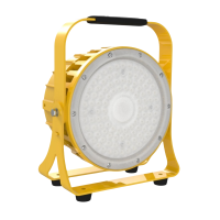 鸿灵睿芯 DT10F 防爆手提工作灯(计价单位:盏)黄色