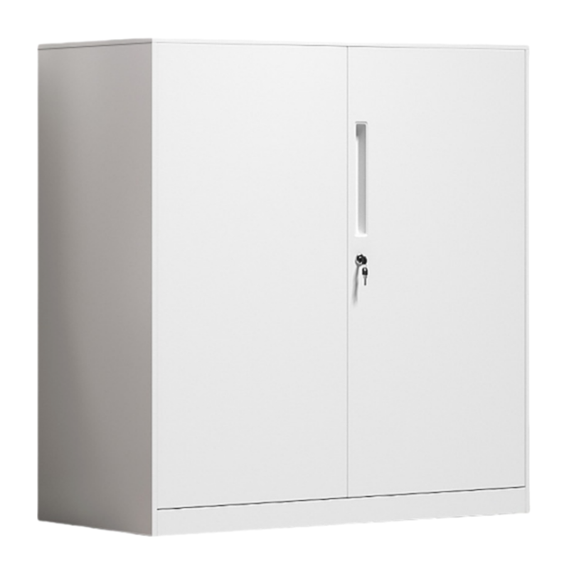 伟樽铁皮矮柜白色对开铁门900*400*925mm台