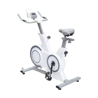 晨洋体育(ChenyangTY)动感单车 CYTY-113 台