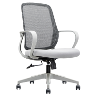 鑫龙悦办公椅52*59*100cm把