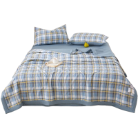 昕蓝梦 夏凉被a类母婴级纯棉被子可机洗被芯 150*200cm 条