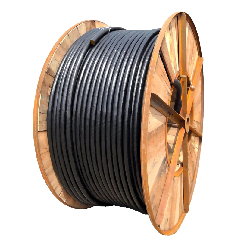 鑫马 电缆 YJV22 2*2.5平方 米