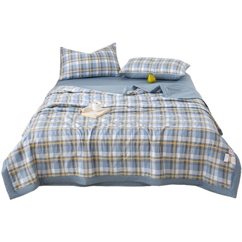 昕蓝梦 夏凉被a类母婴级纯棉被子可机洗被芯 200*230cm 条