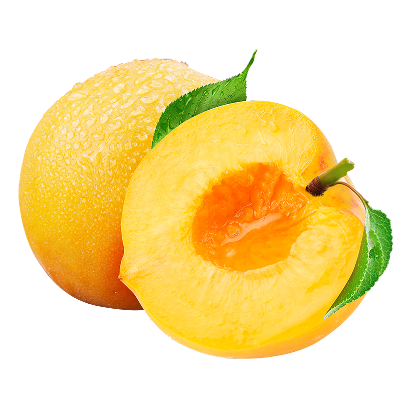 露天砀山麻点黄肉油桃可做罐头净重5斤新鲜当季果园直采 脆甜多汁 桃气香浓