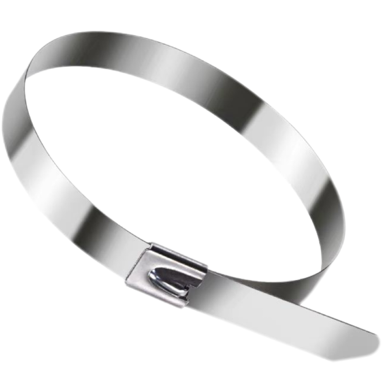 盛京联硕 不锈钢扎带 高强度户外收紧器12×500mm[100条]包