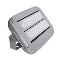 XD JX.XINGDIANX LED模组泛光灯D-935 100W