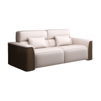 晨磊 接待沙发 双人位 张