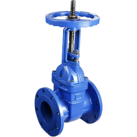 力盾 法兰明杆闸阀 6562 DN200 台