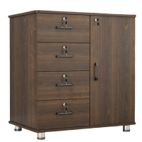 豫龙都资料柜木质个