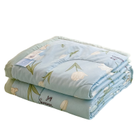 璎蕙 夏凉被单人 条