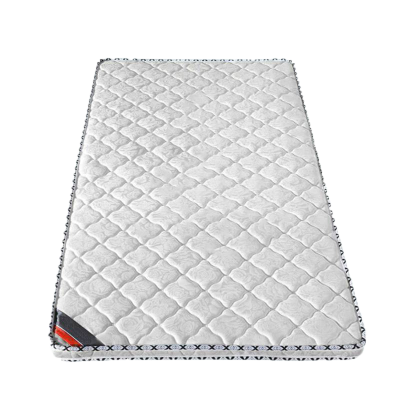 卉茵 椰棕床垫 1000*2000*50mm 张