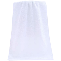 岱润 毛巾 白色30*60cm 条