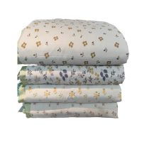 翰逸久旺 双人夏季空调被 200X230cm (条)