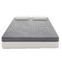 圣承启 家用床垫 1.5*2m张