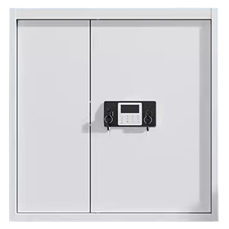 班龙文件保密柜二斗密码锁台