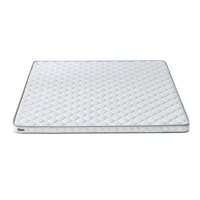 星伟卓CINWAYCHO 床垫 CT张