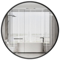 豫龙都镜子50*50cm个