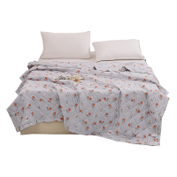 康绿家 梦境亲肤舒适空调被 KLJ-234 条