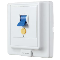 福田 漏电保护开关 家用断路器空气开关 86型32A 单位:个