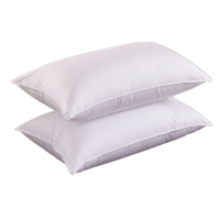 依琳达 羽丝棉枕芯 480*740mm/700g 个