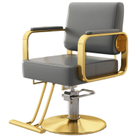 戴劲理发店专用椅子发廊高端美发烫染区升降座椅美发椅子 电镀金圆盘-深灰色