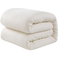 昕蓝梦 千层网格长绒棉4斤褥子 1.1*2.0m 条