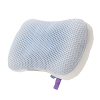 康绿家 贵族灰舒睡枕 KLJ-197 只