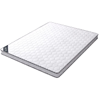 蕃蒂椰棕床垫100*190cm张