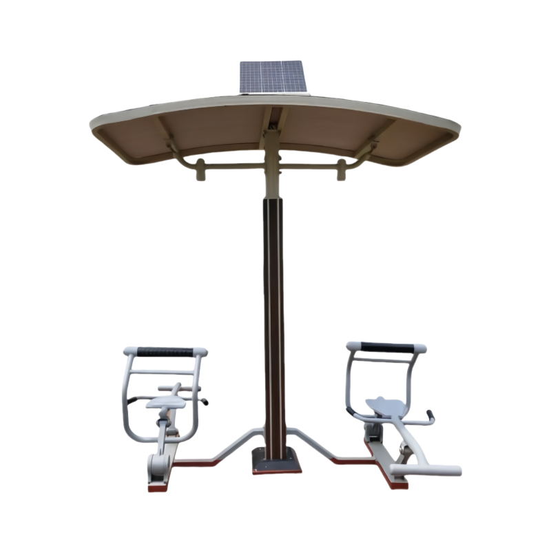 晨洋体育(ChenyangTY) 智能双位背部训练器 CYTY-156 个