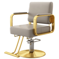 戴劲理发店专用椅子发廊高端美发烫染区升降座椅美发椅子电镀金圆盘-浅灰色